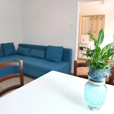 Apartma Sonja 別荘 Črni Kal